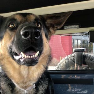 Meet your Posher, Anne